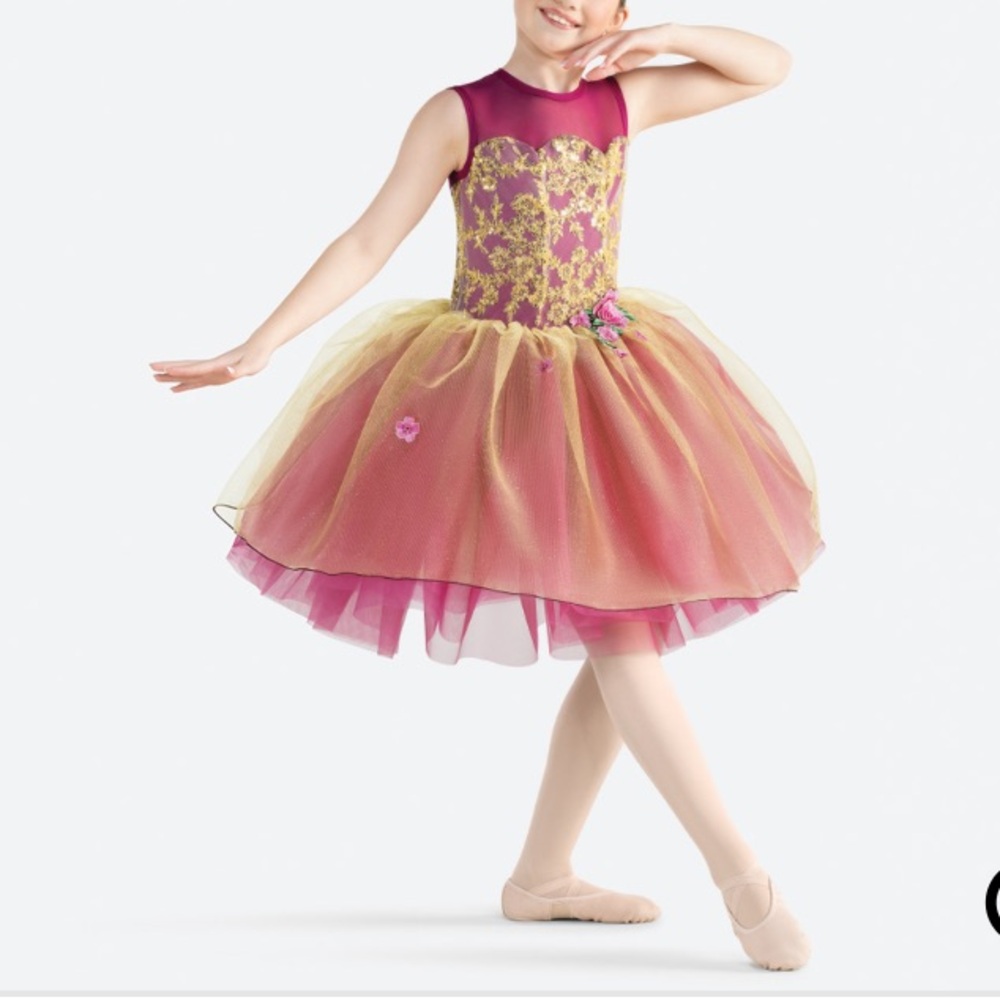 REVOLUTION DANCEWEAR  Ballet costume- Enchanted Suite Size: LC ;worn once